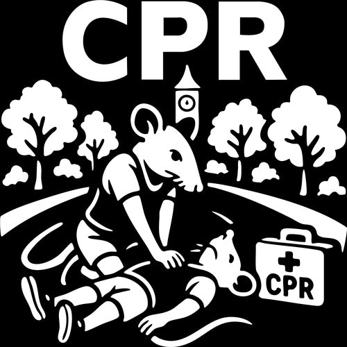 F3 Birmingham CPR (Made to Order DTF)