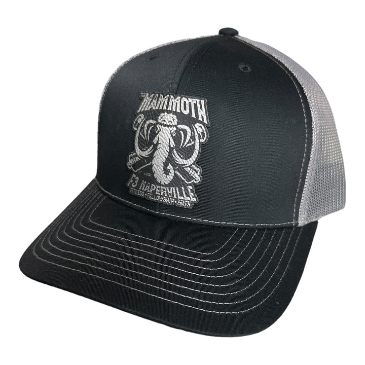 F3 Naperville The Mammoth Su24 Leatherette Patch Hat Pre-Order June 2024