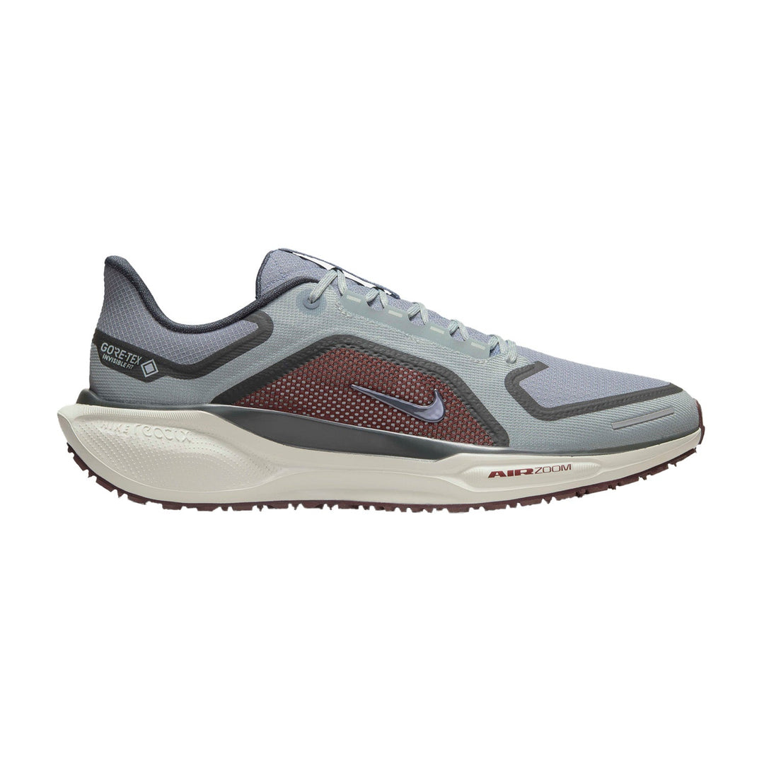 Men's Nike Pegasus 41 GTX, Light Pumice/Ashen Slate, 9.5 D Medium