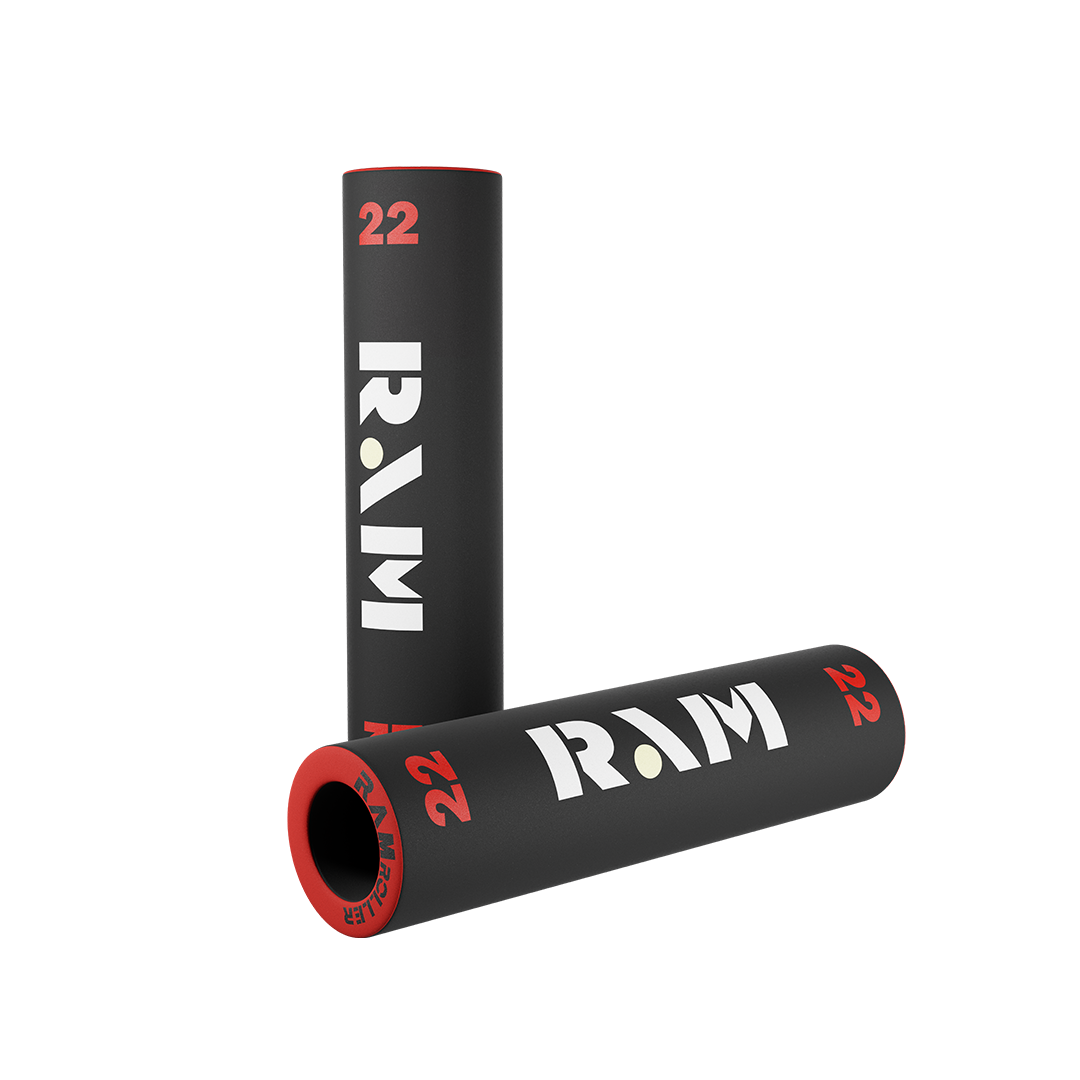 The RAM 22