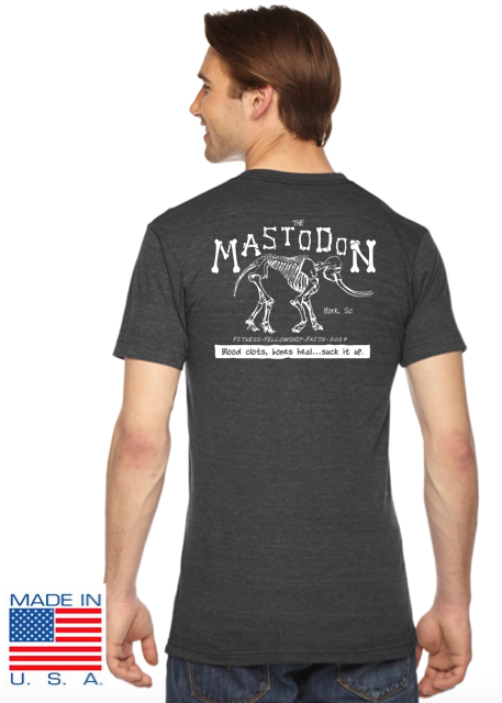 F3 Mastodon Shirt Pre-Order