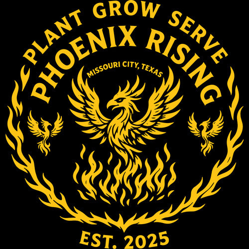 F3 Phoenix Rising (Made to Order DTF)