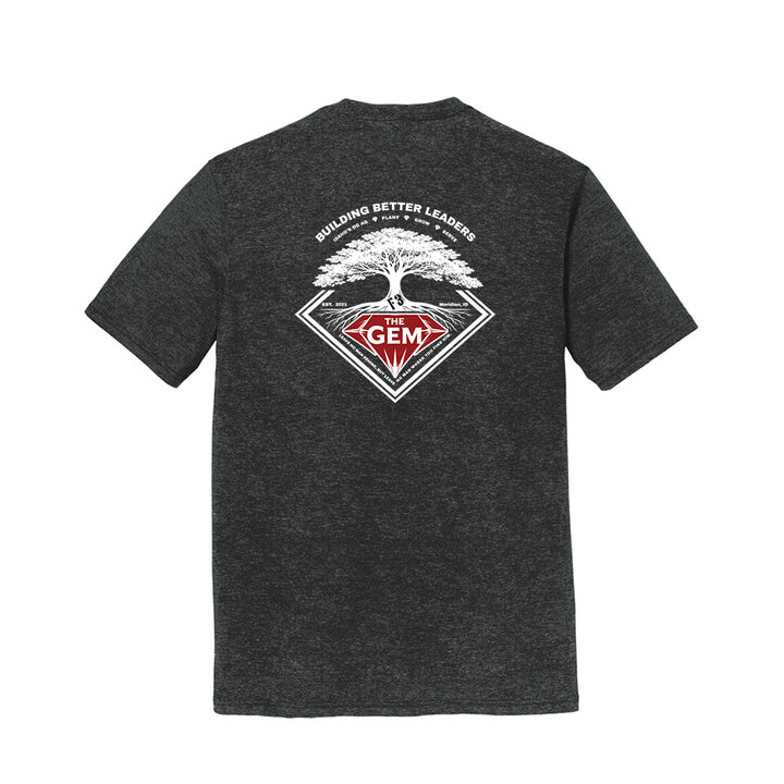 F3 Boise Settlers - The Gem - Dark (Made to Order DTF)
