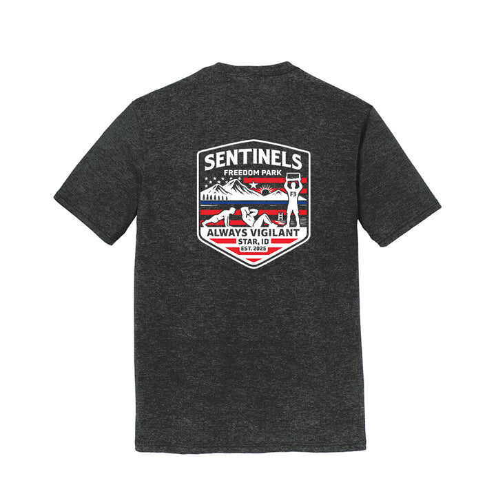 F3 Sentinels, Star ID (Made to Order DTF)