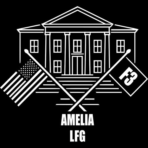 F3 Amelia Shirts (Made to Order DTF)