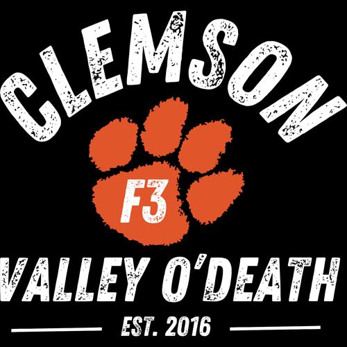 F3 Clemson (Made to Order DTF)