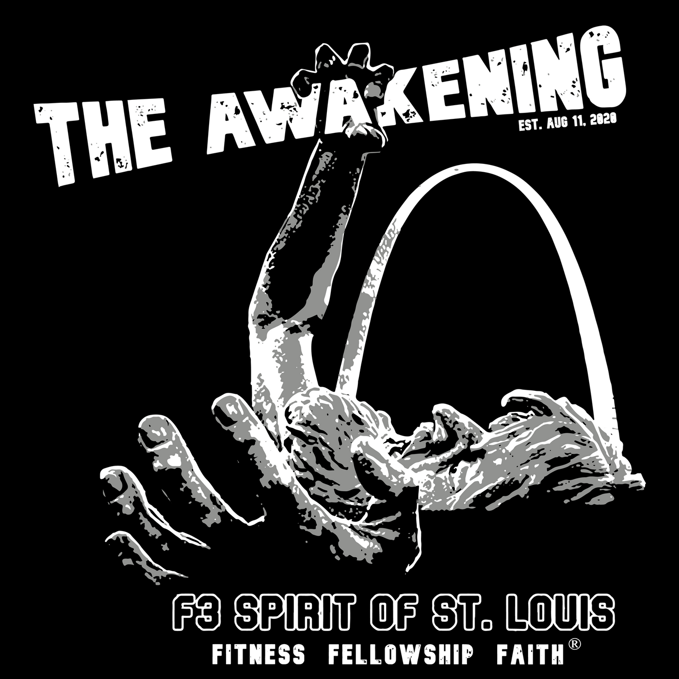 F3 Spirit of St. Louis The Awakening Pre-Order (White & Medium Gray Ink) December 2023