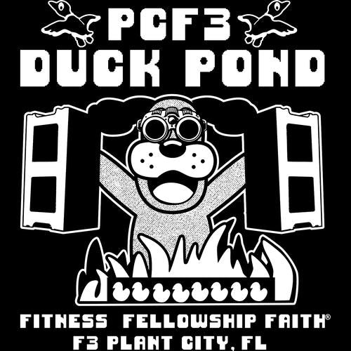 F3 Plant City Duck Pond (Made to Order DTF)