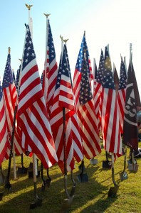 F3 Knitted Polyester Flag