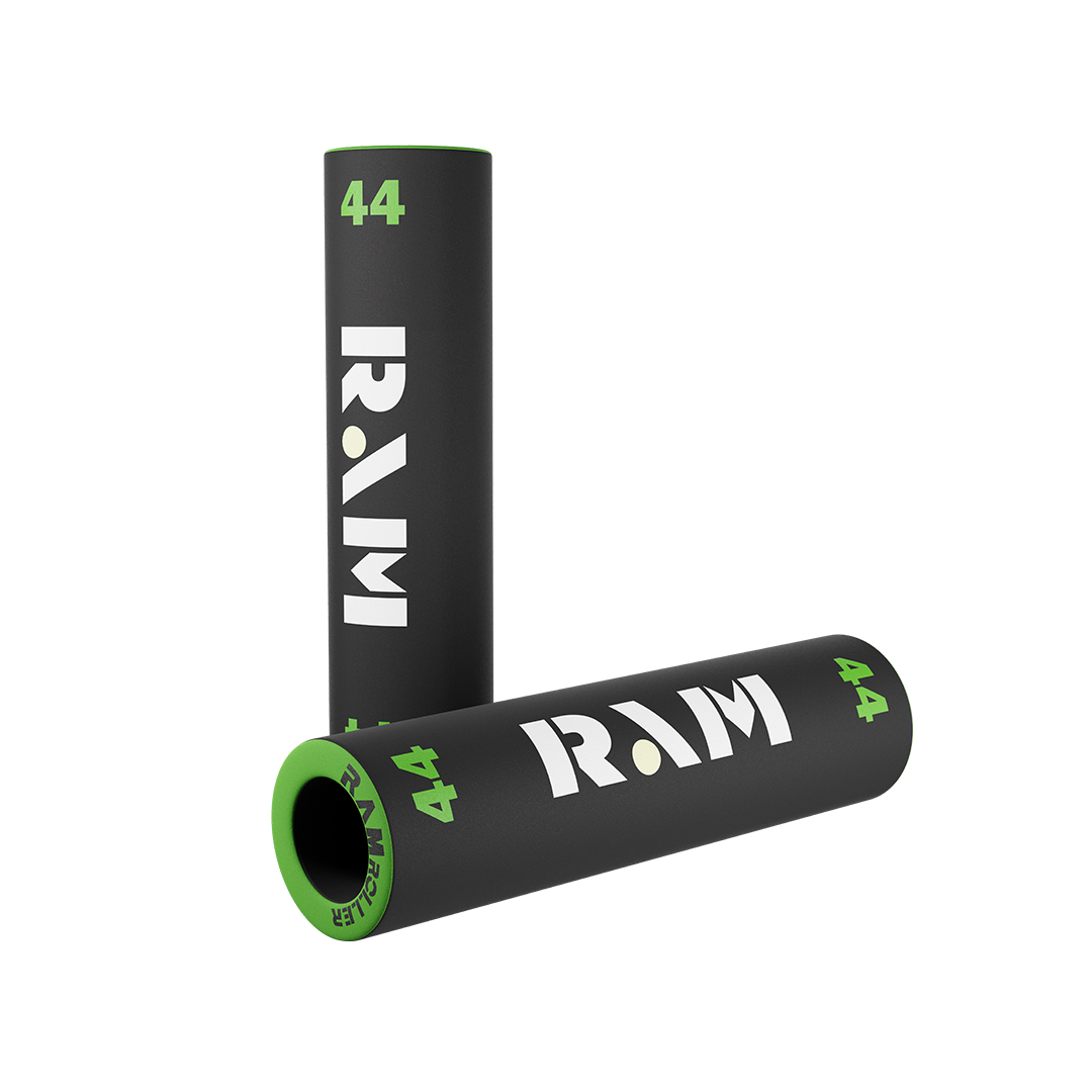 The RAM 44