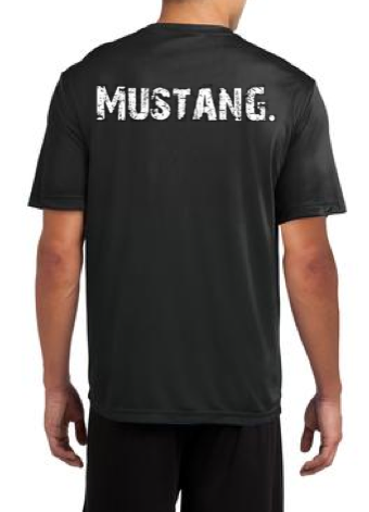 F3 Mustang Pre-Order