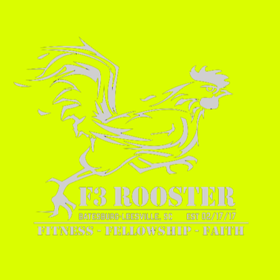 F3 Rooster Reflective Shirt Pre-Order September 2020