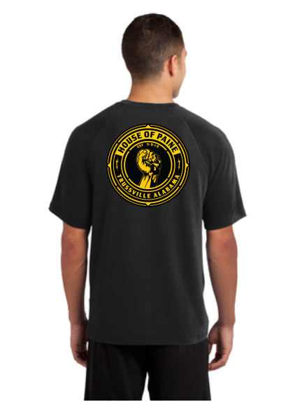 F3 House of Paine Pre-Order March 2021