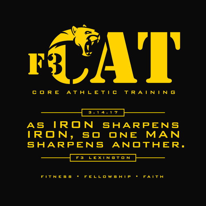 F3 Cat Shirt - Gold Print Pre-Order