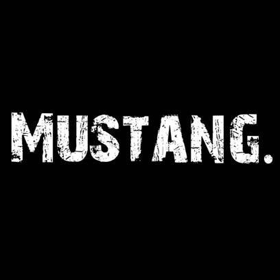 F3 Mustang Pre-Order
